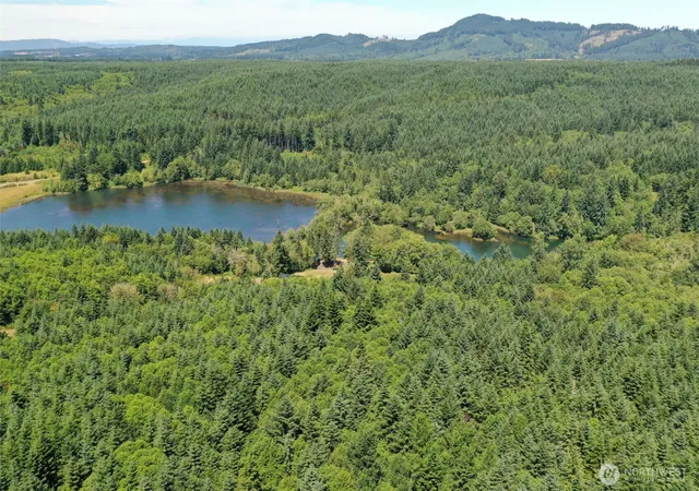 Photo 4 of Land for sale at 21500 Tono Rd, Centralia, WA 98531 | MLS# NWM2577155 | Listing updated on 2026-09-25