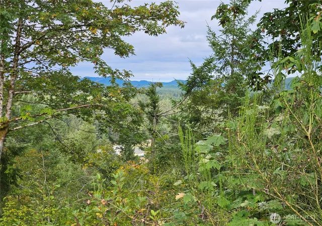 Photo 1 of Land for sale at 390 W Satsop Dr, Elma, WA 98541 | MLS# NWM2577194 | Listing updated on 2026-09-25