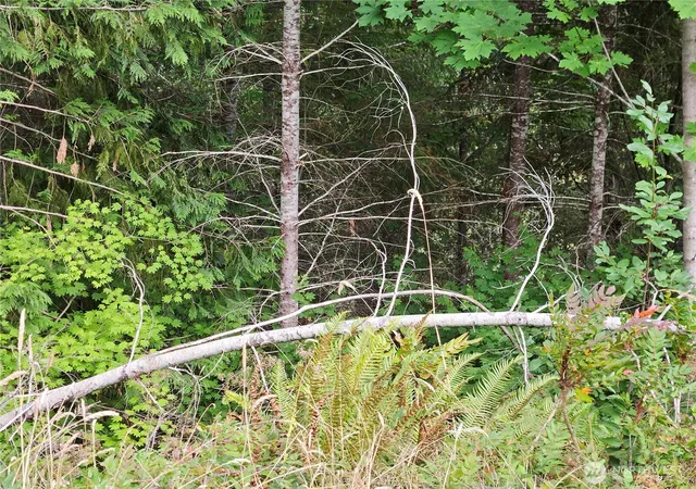 Photo 2 of Land for sale at 390 W Satsop Dr, Elma, WA 98541 | MLS# NWM2577194 | Listing updated on 2026-09-25