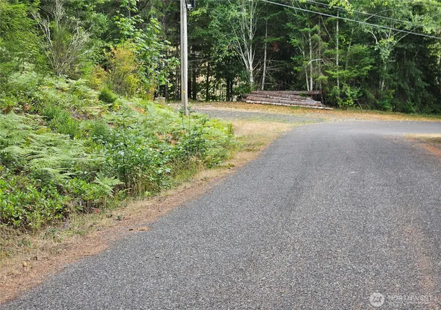 Photo 3 of Land for sale at 390 W Satsop Dr, Elma, WA 98541 | MLS# NWM2577194 | Listing updated on 2026-09-25