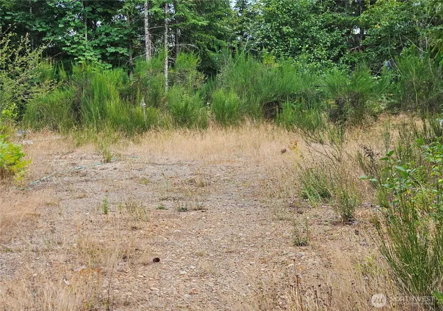 Photo 4 of Land for sale at 390 W Satsop Dr, Elma, WA 98541 | MLS# NWM2577194 | Listing updated on 2026-09-25