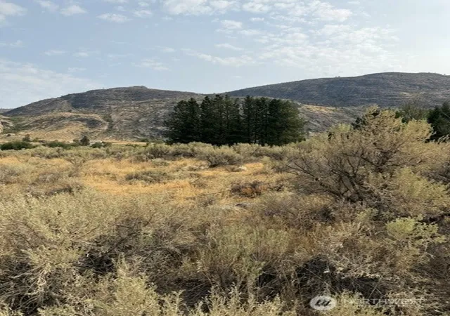 Photo 3 of Land for sale at 0 Lot 4 Crofoot Ln, Riverside, WA 98849 | MLS# NWM2577273 | Listing updated on 2026-09-25