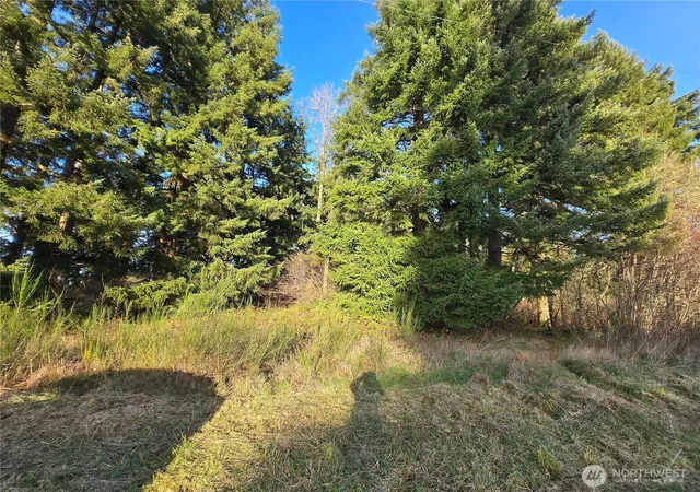 Photo 1 of Land for sale at 0 Clinton Rd, Chehalis, WA 98532 | MLS# NWM2577347 | Listing updated on 2026-09-25