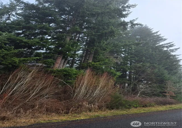 Photo 3 of Land for sale at 0 Clinton Rd, Chehalis, WA 98532 | MLS# NWM2577347 | Listing updated on 2026-09-25