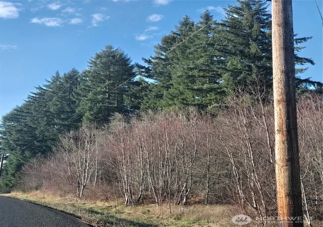 Photo 3 of Land for sale at 0 Clinton Rd, Chehalis, WA 98532 | MLS# NWM2577347 | Listing updated on 2026-09-25