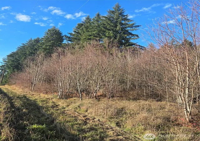 Photo 4 of Land for sale at 0 Clinton Rd, Chehalis, WA 98532 | MLS# NWM2577347 | Listing updated on 2026-09-25