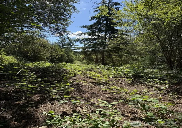 Photo 3 of Land for sale at 18703 Sr 302, Gig Harbor, WA 98329 | MLS# NWM2577449 | Listing updated on 2026-09-29