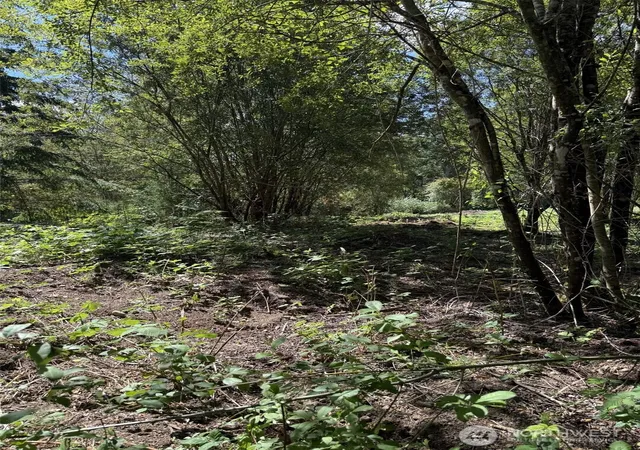 Photo 4 of Land for sale at 18703 Sr 302, Gig Harbor, WA 98329 | MLS# NWM2577449 | Listing updated on 2026-09-29