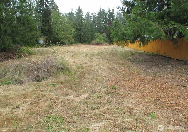 Photo 3 of Land for sale at 8319 Skookumchuck Rd SE, Tenino, WA 98589 | MLS# NWM2577464 | Listing updated on 2026-09-25