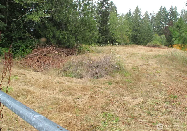 Photo 4 of Land for sale at 8319 Skookumchuck Rd SE, Tenino, WA 98589 | MLS# NWM2577464 | Listing updated on 2026-09-25