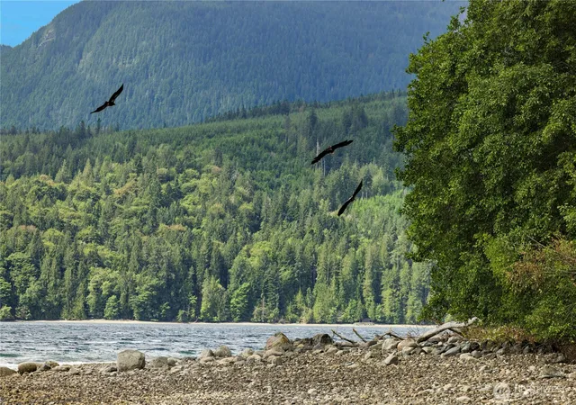 Photo 2 of Land for sale at 0 K Tract 9 Mcdonald Rd, Quilcene, WA 98376 | MLS# NWM2577493 | Listing updated on 2026-09-25