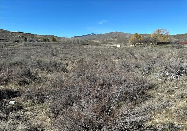 Land for sale at 81 W Chewuch Rd, Winthrop, WA 98862 | MLS# NWM2577542