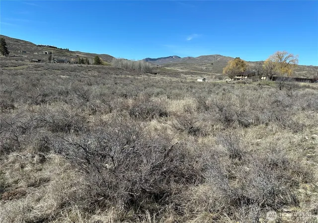 Photo 3 of Land for sale at 81 W Chewuch Rd, Winthrop, WA 98862 | MLS# NWM2577542 | Listing updated on 2026-09-25