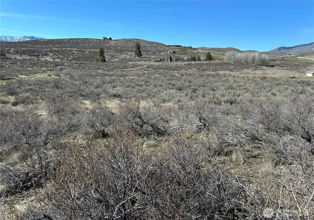 Photo 3 of Land for sale at 81 W Chewuch Rd, Winthrop, WA 98862 | MLS# NWM2577542 | Listing updated on 2026-09-25