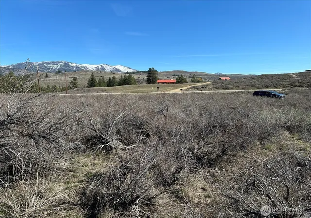 Photo 4 of Land for sale at 81 W Chewuch Rd, Winthrop, WA 98862 | MLS# NWM2577542 | Listing updated on 2026-09-25