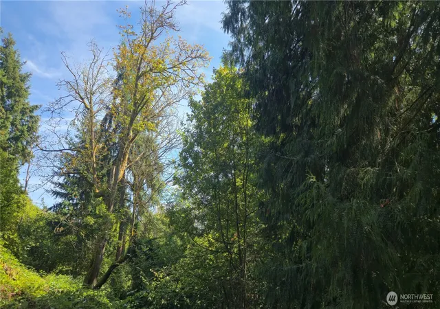 Photo 4 of Land for sale at 11912 53rd Street Ct E, Edgewood, WA 98372 | MLS# NWM2577585 | Listing updated on 2026-10-01