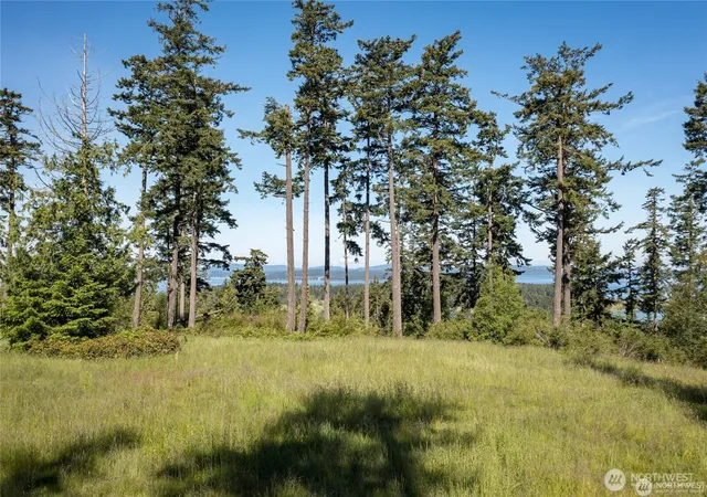 Photo 2 of Land for sale at 17 Mariner Dr, Lopez Island, WA 98261 | MLS# NWM2577617 | Listing updated on 2026-09-25