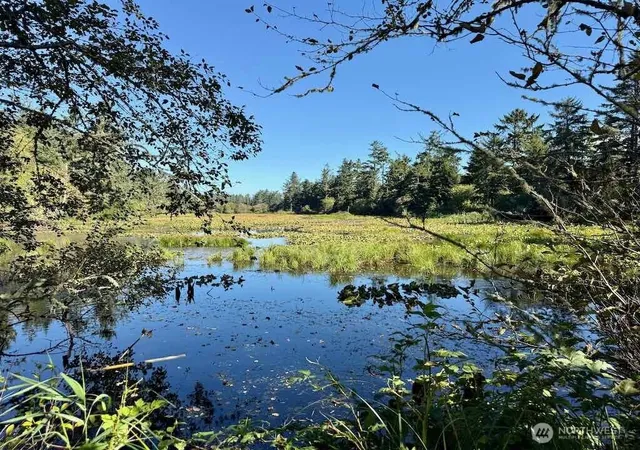 Photo 2 of Sale Pending at 210 E Rain St, Ocean Shores, WA 98569 | MLS# NWM2577919 | Listing updated on 2026-09-29