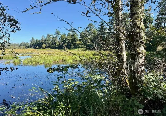 Photo 3 of Sale Pending at 210 E Rain St, Ocean Shores, WA 98569 | MLS# NWM2577919 | Listing updated on 2026-09-29