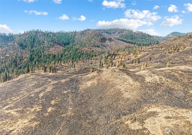 Photo 4 of Land for sale at 329 X Silver Crk Rd, Inchelium, WA 99138 | MLS# NWM2578043 | Listing updated on 2026-09-25
