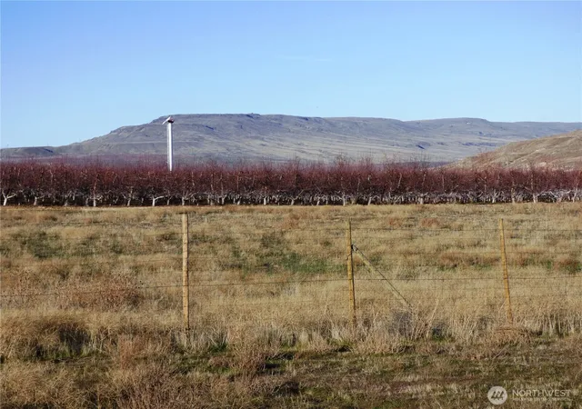 Single family home for sale at 0 State Route 17, Bridgeport, WA 98813 | MLS# NWM2578055