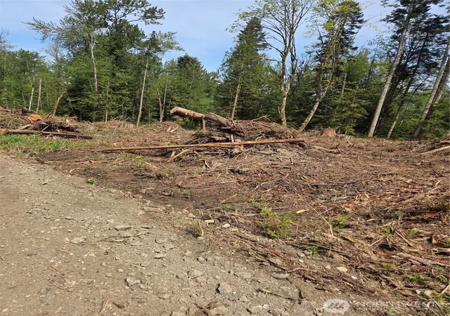 Photo 3 of Sale Pending at 0 Kelly Rd, Bellingham, WA 98226 | MLS# NWM2578078 | Listing updated on 2026-09-22