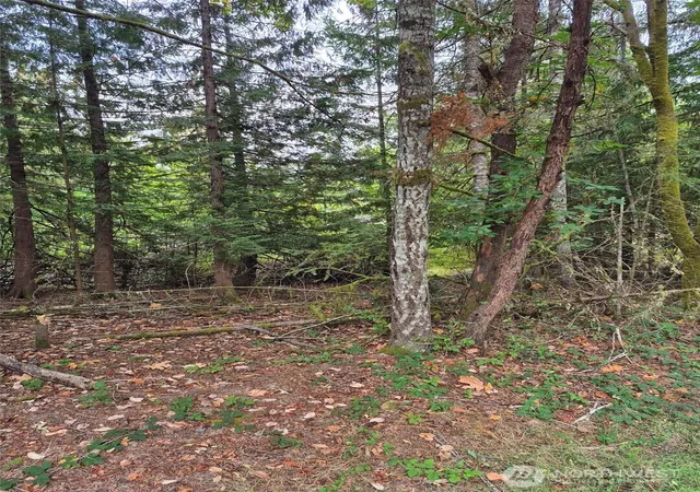 Photo 3 of Land for sale at 2340 Westwind Dr Nw, Olympia, WA 98502 | MLS# NWM2578121 | Listing updated on 2026-09-25