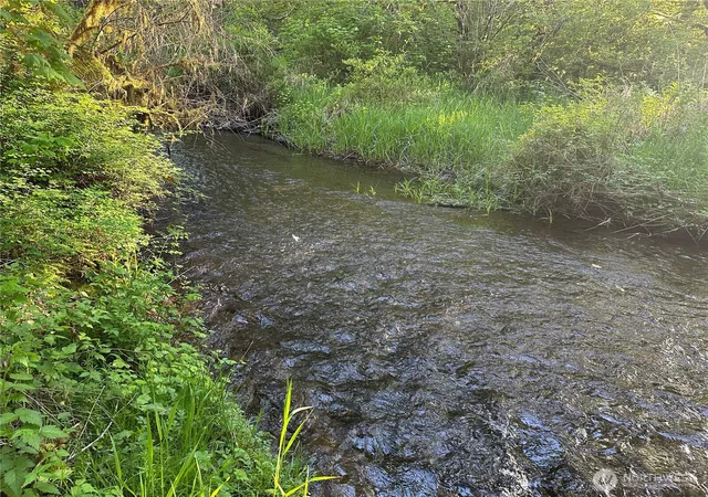 Photo 3 of Land for sale at 211 W New Moon Ln, Matlock, WA 98560 | MLS# NWM2578567 | Listing updated on 2026-09-25