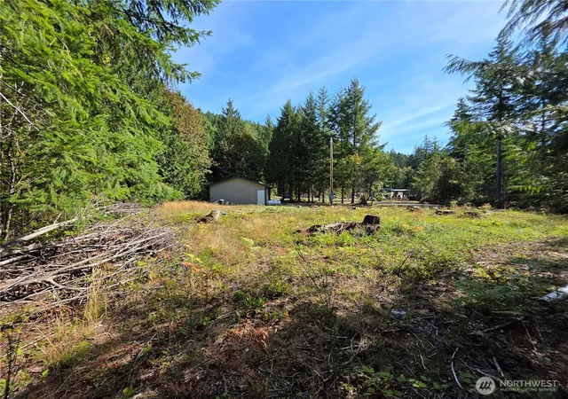 Photo 3 of Land for sale at 92 Belgian Dr, Brinnon, WA 98320 | MLS# NWM2578589 | Listing updated on 2026-09-25