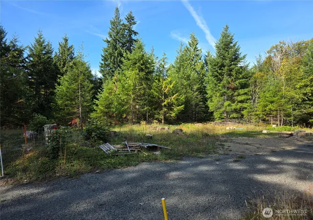 Photo 4 of Land for sale at 92 Belgian Dr, Brinnon, WA 98320 | MLS# NWM2578589 | Listing updated on 2026-09-25