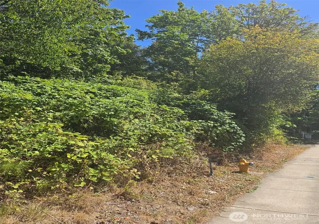 Photo 2 of Land for sale at 250 X Callow Rd, Lake Stevens, WA 98258 | MLS# NWM2578748 | Listing updated on 2026-09-25