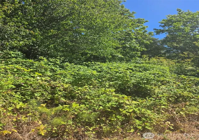 Photo 3 of Land for sale at 250 X Callow Rd, Lake Stevens, WA 98258 | MLS# NWM2578748 | Listing updated on 2026-09-25