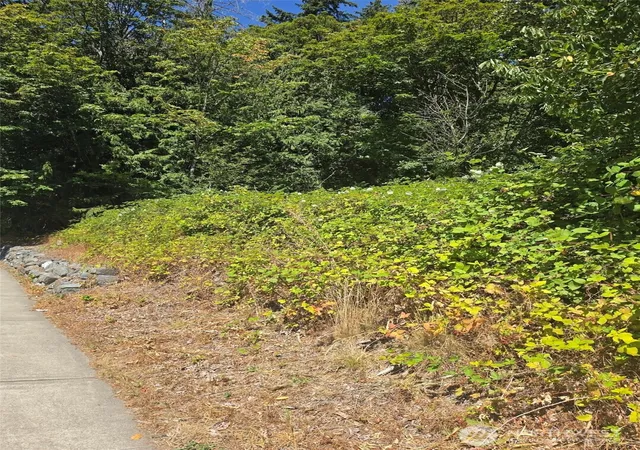 Photo 3 of Land for sale at 250 X Callow Rd, Lake Stevens, WA 98258 | MLS# NWM2578748 | Listing updated on 2026-09-25