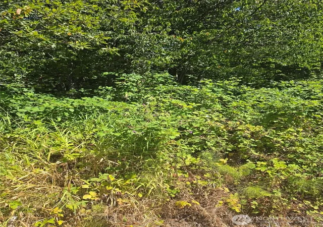 Photo 4 of Land for sale at 250 X Callow Rd, Lake Stevens, WA 98258 | MLS# NWM2578748 | Listing updated on 2026-09-25