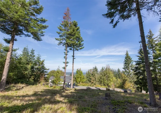 Photo 4 of Land for sale at 346 Ravens Ridge Rd, Sequim, WA 98382 | MLS# NWM2578849 | Listing updated on 2026-09-25
