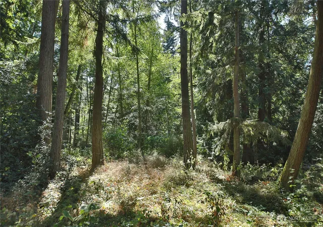 Photo 3 of Land for sale at 1 Scenic Ave, Freeland, WA 98249 | MLS# NWM2578852 | Listing updated on 2026-09-30