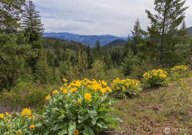 Photo 1 of Land for sale at 0 Forest Service 6601 550 Rd #B, Leavenworth, WA 98826 | MLS# NWM2578919 | Listing updated on 2026-10-05