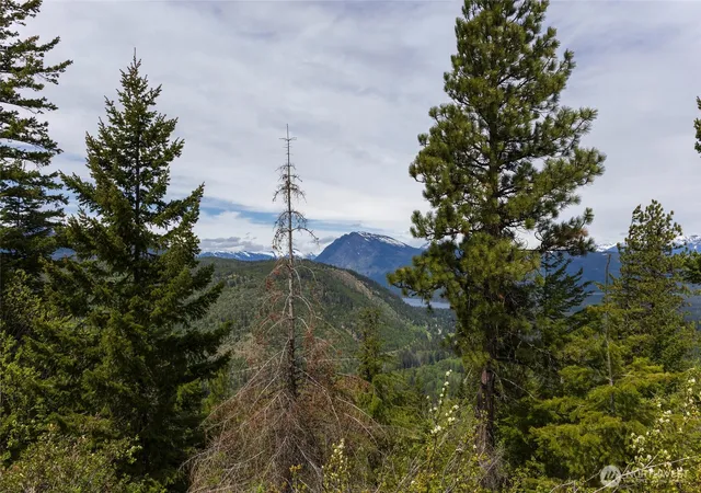Photo 2 of Land for sale at 0 Forest Service 6601 550 Rd #B, Leavenworth, WA 98826 | MLS# NWM2578919 | Listing updated on 2026-10-05