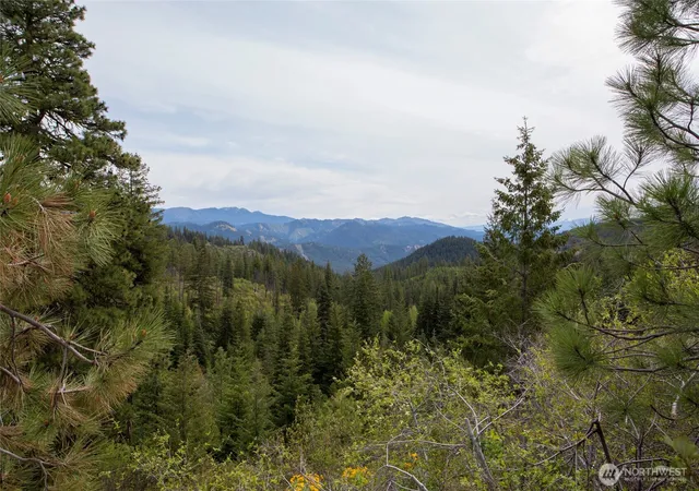 Photo 1 of Land for sale at 0 Forest Service 6601 550 Rd #C, Leavenworth, WA 98826 | MLS# NWM2578920 | Listing updated on 2026-10-05