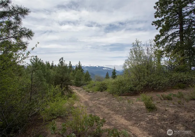 Photo 2 of Land for sale at 0 Forest Service 6601 550 Rd #C, Leavenworth, WA 98826 | MLS# NWM2578920 | Listing updated on 2026-10-05