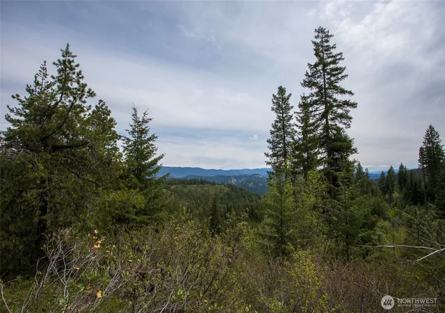 Photo 1 of Land for sale at 0 Forest Service 6601 550 Rd #D, Leavenworth, WA 98826 | MLS# NWM2578921 | Listing updated on 2026-10-05