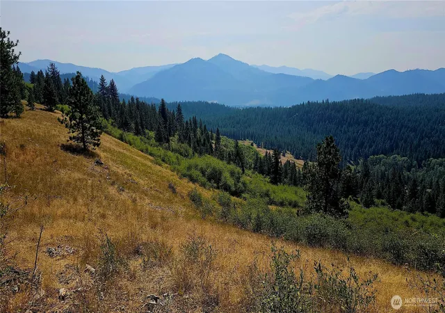 Photo 2 of Land for sale at 35 Xx Addy Cedonia Rd, Hunters, WA 99137 | MLS# NWM2579082 | Listing updated on 2026-09-25