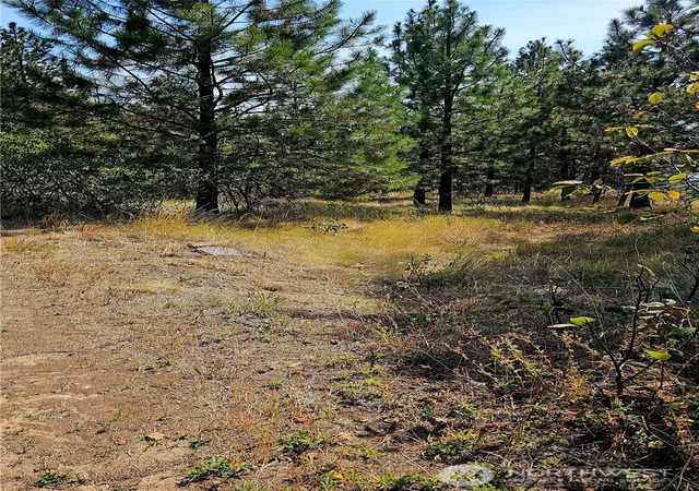 Photo 3 of Land for sale at 35 Xx Addy Cedonia Rd, Hunters, WA 99137 | MLS# NWM2579082 | Listing updated on 2026-09-25