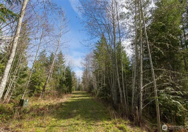 Photo 4 of Land for sale at 0 Lot 4 Colville Rd, Port Angeles, WA 98363 | MLS# NWM2579114 | Listing updated on 2026-09-25