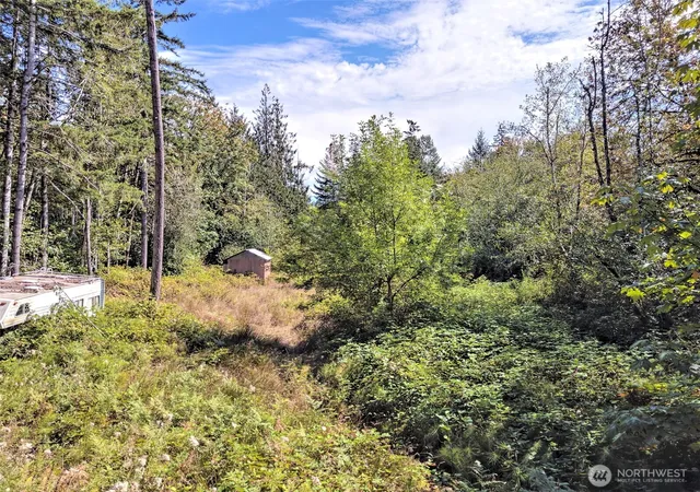 Photo 3 of Land for sale at 60 SE Mable Taylor Ln, Shelton, WA 98584 | MLS# NWM2579137 | Listing updated on 2026-09-25