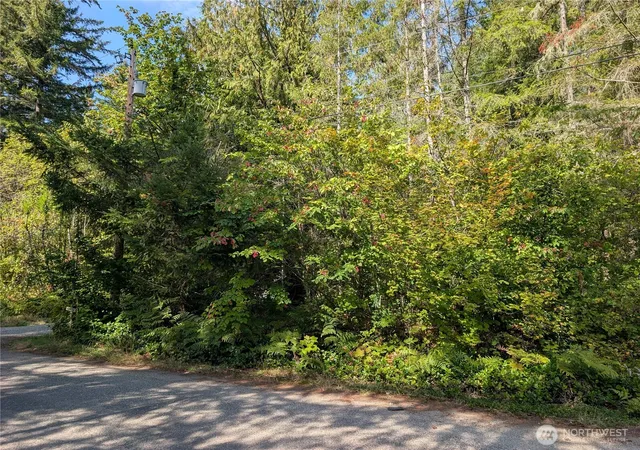 Photo 2 of Land for sale at 459 Xx Baker Dr, Concrete, WA 98237 | MLS# NWM2579474 | Listing updated on 2026-09-25