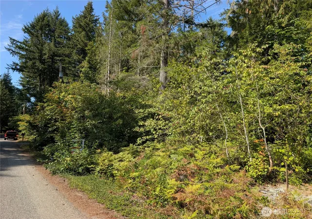 Photo 3 of Land for sale at 459 Xx Baker Dr, Concrete, WA 98237 | MLS# NWM2579474 | Listing updated on 2026-09-25