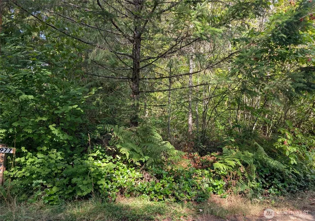 Photo 4 of Land for sale at 459 Xx Baker Dr, Concrete, WA 98237 | MLS# NWM2579474 | Listing updated on 2026-09-25