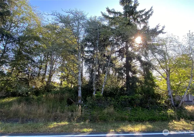 Photo 1 of Land for sale at 364 Duck Lake Dr Se, Ocean Shores, WA 98569 | MLS# NWM2580198 | Listing updated on 2026-09-25