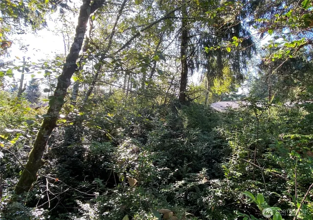 Photo 2 of Land for sale at 364 Duck Lake Dr Se, Ocean Shores, WA 98569 | MLS# NWM2580198 | Listing updated on 2026-09-25
